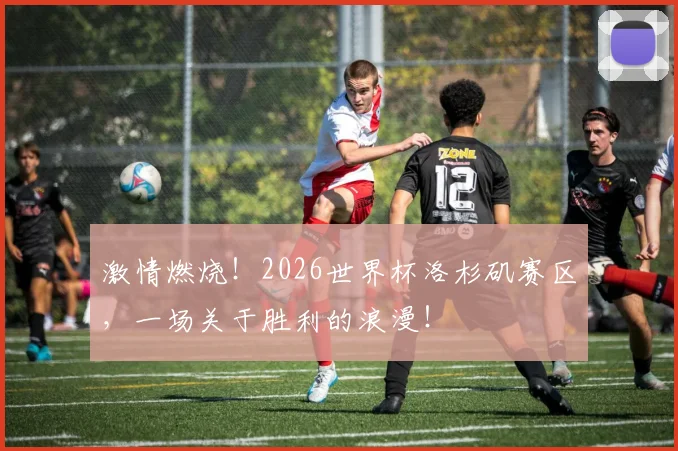 激情燃烧！2026世界杯洛杉矶赛区，一场关于胜利的浪漫！
