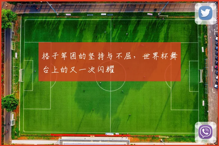 格子军团的坚持与不屈,世界杯舞台上的又一次闪耀