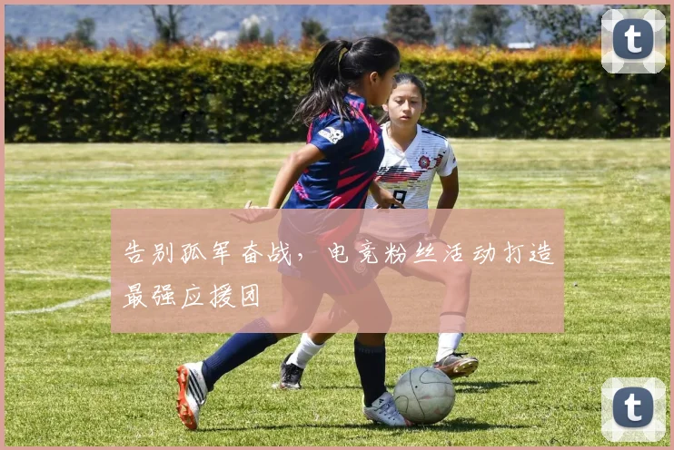 告别孤军奋战，电竞粉丝活动打造最强应援团