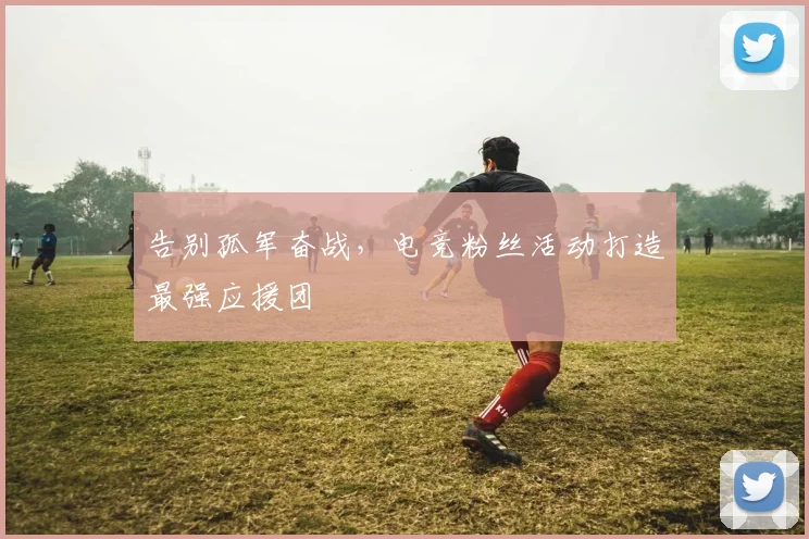 告别孤军奋战，电竞粉丝活动打造最强应援团