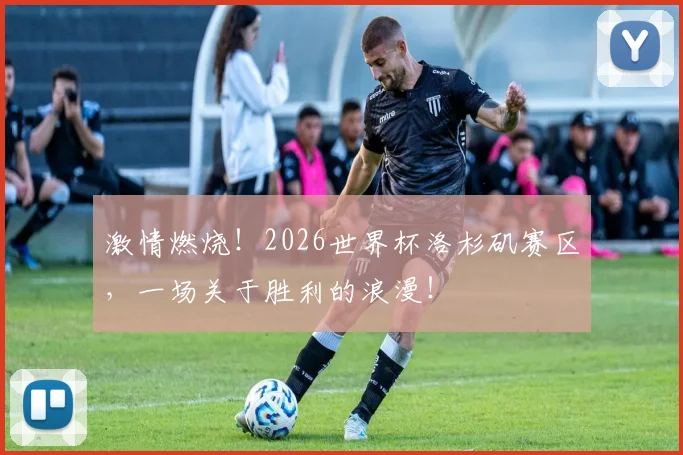 激情燃烧！2026世界杯洛杉矶赛区，一场关于胜利的浪漫！